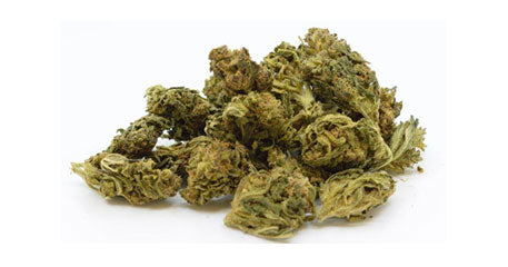 Bubble Gum CBD Blóm 2 gr